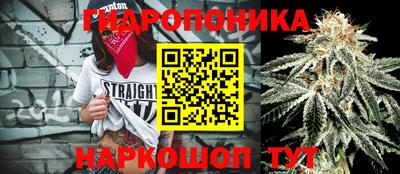 Альфа ПВП Пугачёв