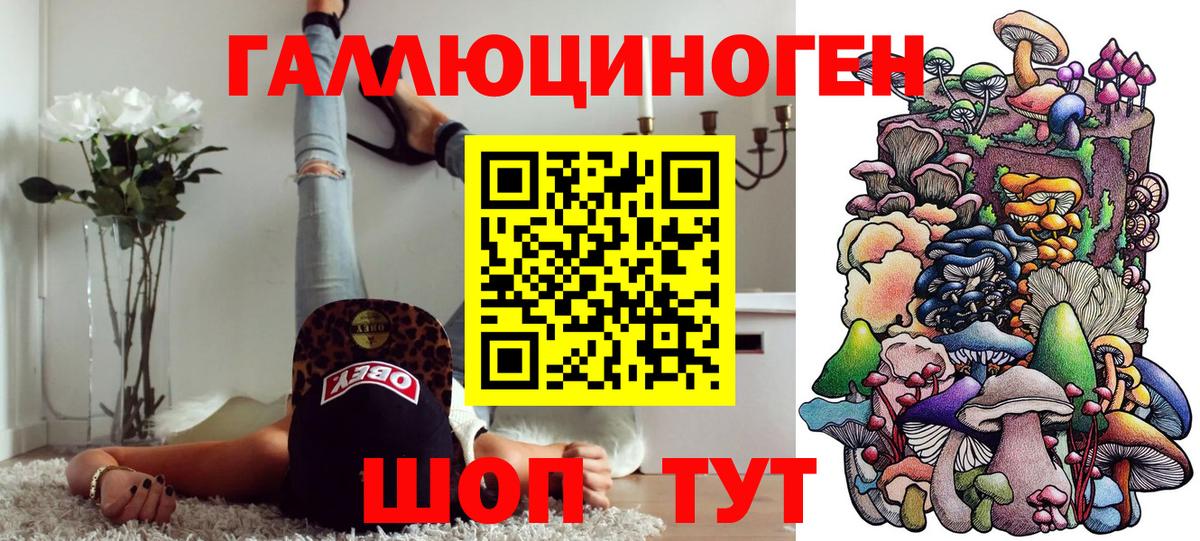 Псилоцибиновые грибы Psilocybe Алапаевск